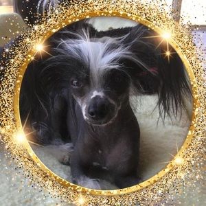 Meet your Posher, Jane